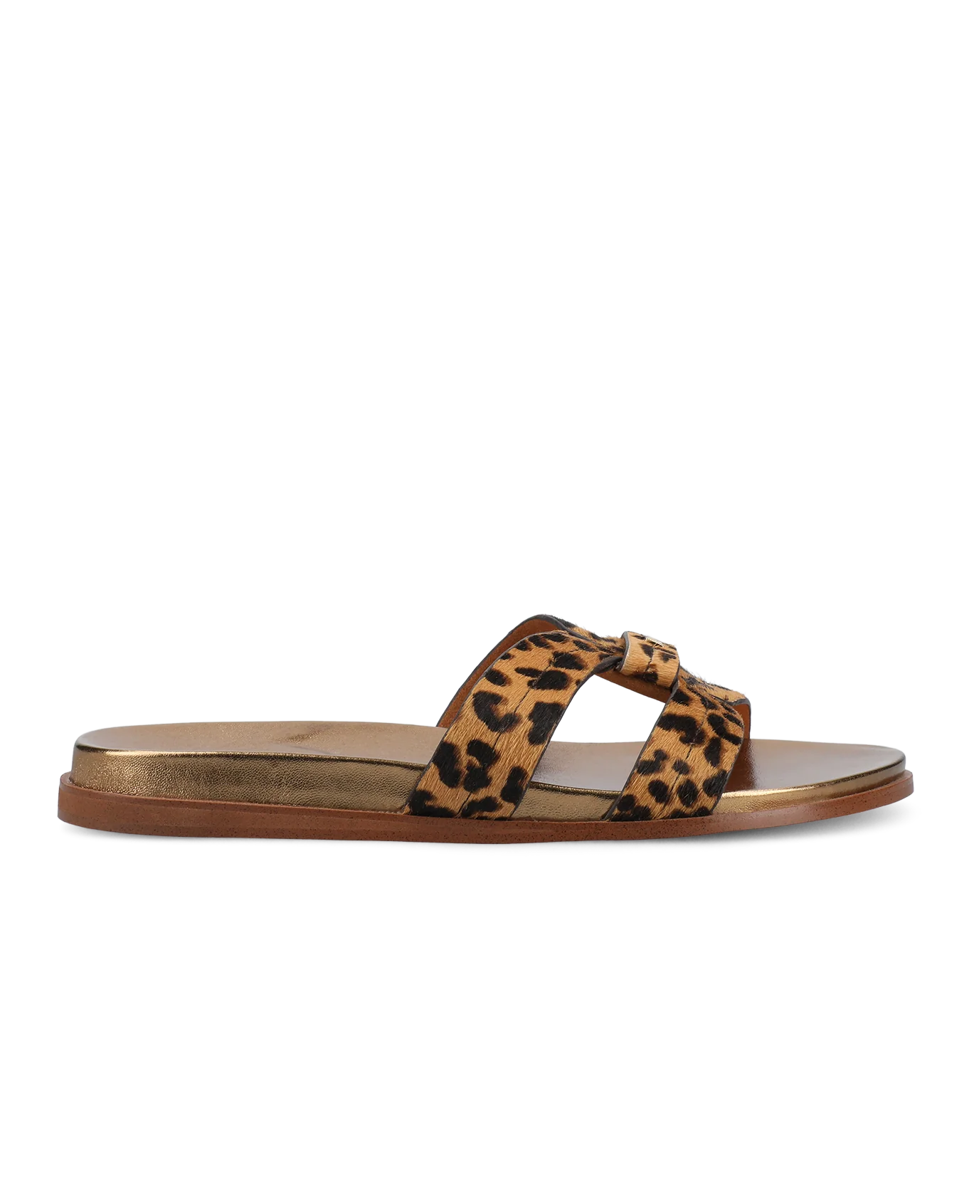 The Sunbird Icon - Leopardprint Haircalf - Image 5